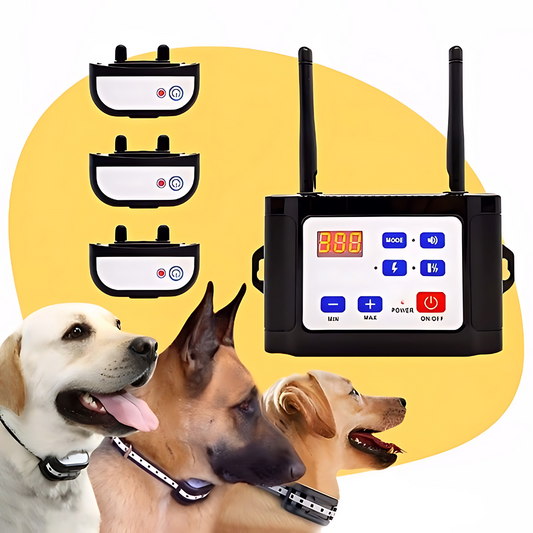 Clôture pour chien électrique sans fil – Collier anti fugue et clôture électronique sécurisée pour animaux
