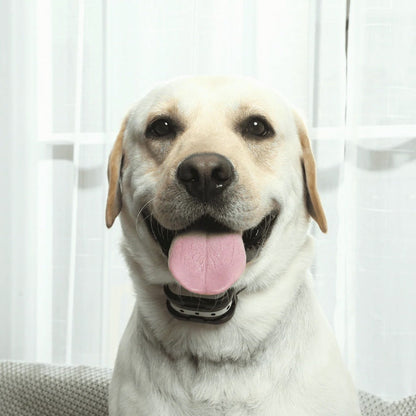 Clôture pour chien électrique sans fil – Collier anti fugue et clôture électronique sécurisée pour animaux